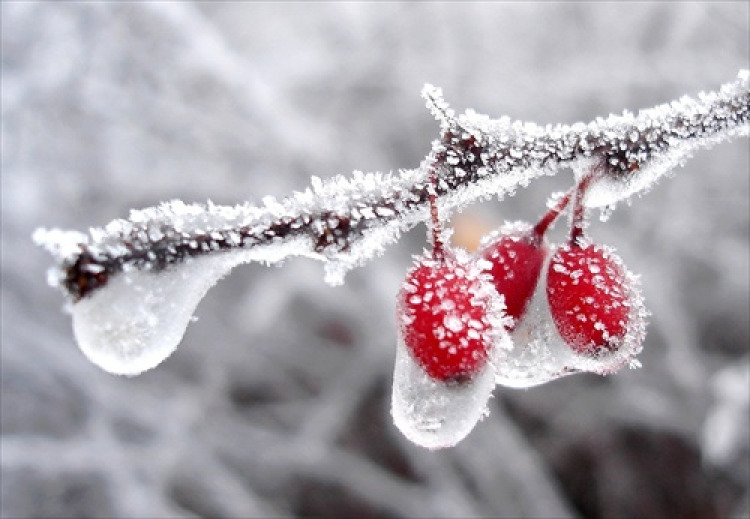februar