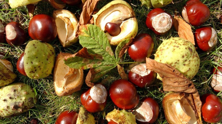 oktober